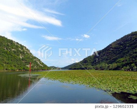 Discover the Serene Beauty of Skadar Lake, Embraced by Lush Hills and Calm Waters 129602335