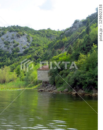 Exploring the Tranquil Shores of Skadar Lake Surrounded by Lush Greenery in Montenegro 129602338