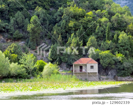 Discover the Serene Beauty of Skadar Lake in Montenegro With Lush Greenery and a Charming House Discover the Serene Beauty of Skadar Lake in Montenegro With Lush Greenery and a Charming House 129602339