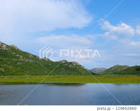 Discover Skadar Lakes Serene Beauty, Featuring Stunning Landscapes and Vibrant Nature 129602660