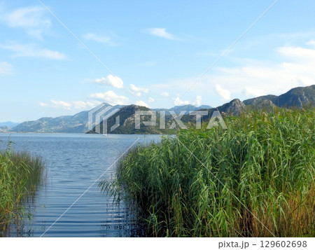 Exploring the Tranquil Beauty of Skadar Lake in Montenegros Scenic Landscape Exploring the Tranquil Beauty of Skadar Lake in Montenegros Scenic Landscape 129602698