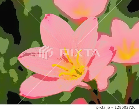 美しいタマスダレ（afr20250813143613） 129602726