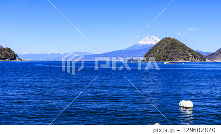 三津浜から望む駿河湾と富士山 129602820