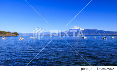 三津浜から望む駿河湾と富士山 三津浜から望む駿河湾と富士山 129602902
