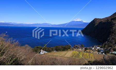 煌めきの丘から望む駿河湾と富士山 129602962