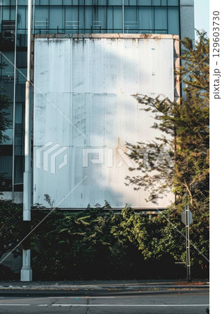 Urban Street with Large Blank Billboard for Advertising in Early Morning Sunlight Urban Street with Large Blank Billboard for Advertising in Early Morning Sunlight 129603730