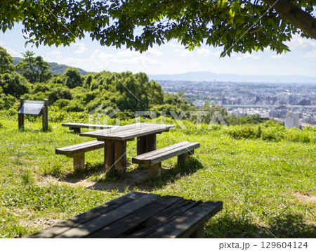 兵庫県宝塚市都市緑地公園「北雲雀きずきの森」みはらし広場 129604124
