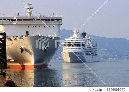 さんふらわあ号と飛鳥Ⅲ（別府国際観光港） 129604472