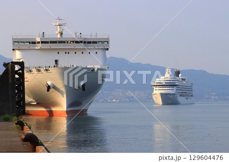 さんふらわあ号と飛鳥Ⅲ（別府国際観光港） 129604476