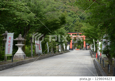 松尾大社　参道と鳥居　京都市西京区嵐山 129604823