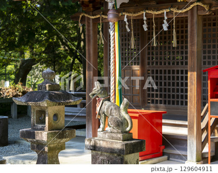 稲荷神社の狛狐と石灯籠 稲荷神社の狛狐と石灯籠 129604911