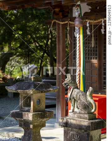 稲荷神社の狛狐と石灯籠 129604913