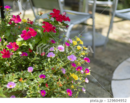 ガーデンテラスのフラワーポット 129604952