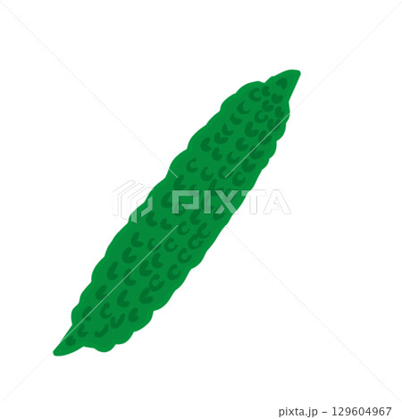ゴーヤ　野菜　シンプル 129604967