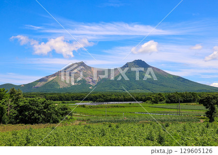 北海道駒ヶ岳　(北海道　7月) 129605126