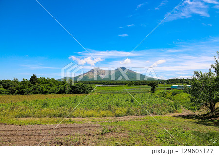 北海道駒ヶ岳 (北海道 7月) 北海道駒ヶ岳 (北海道 7月) 129605127