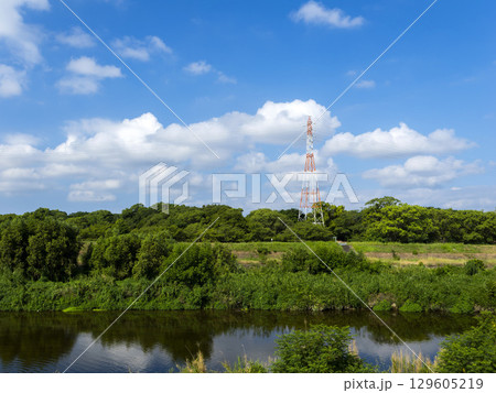 植物に覆われた真夏の猪名川 129605219