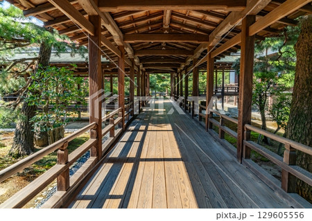 本堂に向かう廊下 129605556