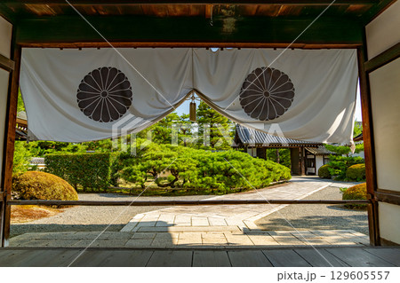 大覚寺の庭園 129605557