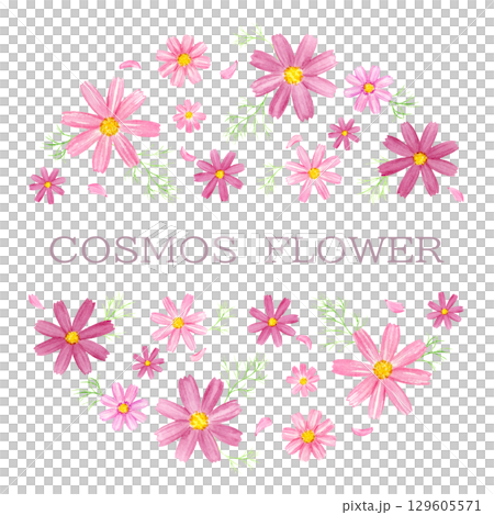 水彩で描いたコスモスの円形背景　コピースペース 129605571