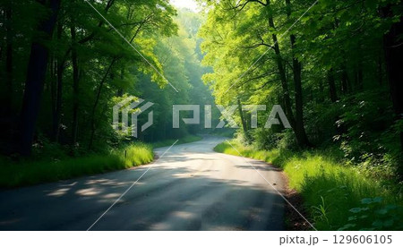 A sunlit road winds through a lush green forest, with sunlight filtering through the vibrant tree canopy 129606105