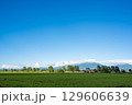 中富良野 129606639
