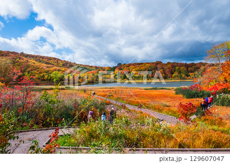 八幡平大沼（秋） 129607047
