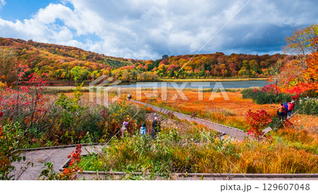 八幡平大沼（秋） 129607048