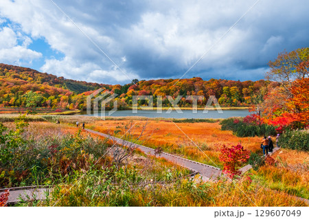 八幡平大沼（秋） 129607049