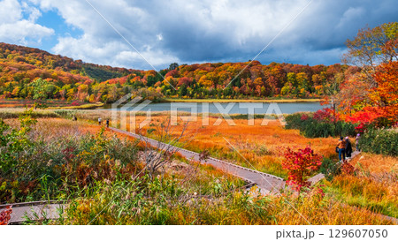 八幡平大沼(秋) 八幡平大沼(秋) 129607050