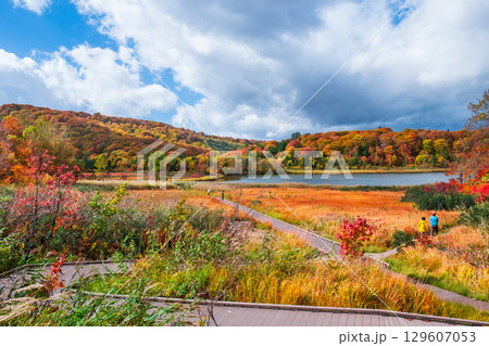 八幡平大沼(秋) 八幡平大沼(秋) 129607053
