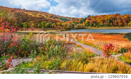 八幡平大沼(秋) 八幡平大沼(秋) 129607056