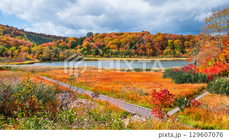 八幡平大沼（秋） 129607076