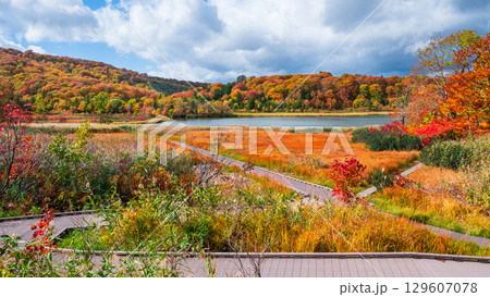 八幡平大沼（秋） 129607078