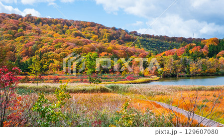八幡平大沼（秋） 129607080