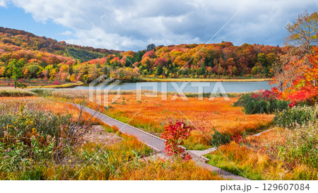 八幡平大沼(秋) 八幡平大沼(秋) 129607084