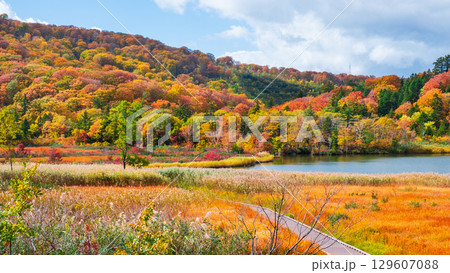 八幡平大沼（秋） 129607088