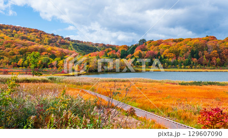 八幡平大沼（秋） 129607090