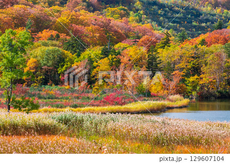 八幡平大沼（秋） 129607104