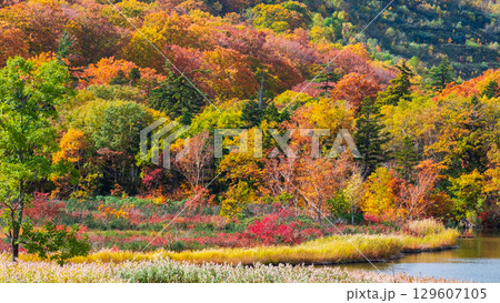 八幡平大沼(秋) 八幡平大沼(秋) 129607105
