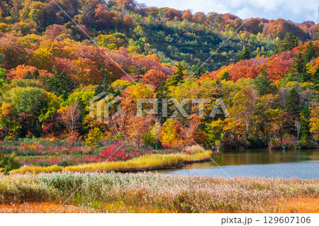 八幡平大沼（秋） 129607106