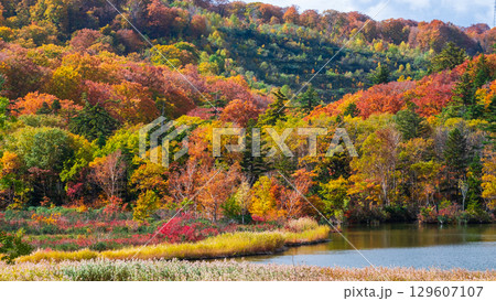 八幡平大沼(秋) 八幡平大沼(秋) 129607107