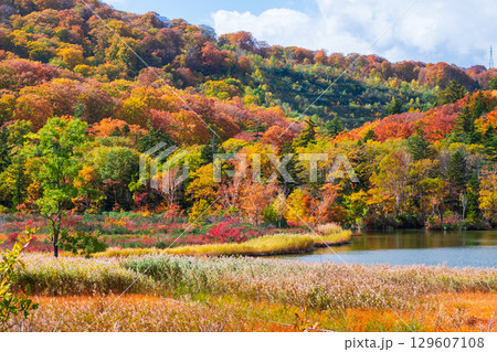 八幡平大沼(秋) 八幡平大沼(秋) 129607108