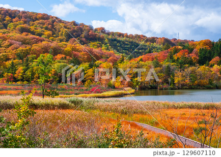 八幡平大沼（秋） 129607110