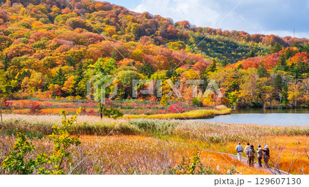 八幡平大沼（秋） 129607130