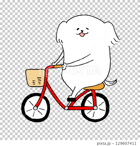 自転車に乗る犬 自転車に乗る犬 129607411