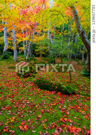 紅葉に包まれた祇王寺 紅葉に包まれた祇王寺 129607785