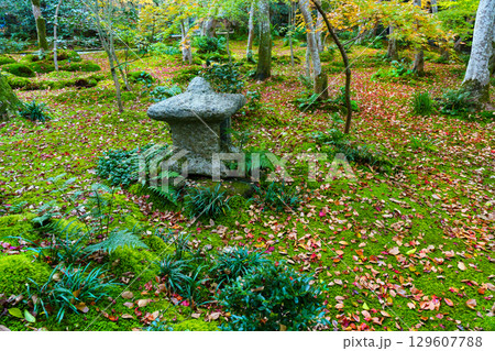 紅葉に包まれた祇王寺 129607788