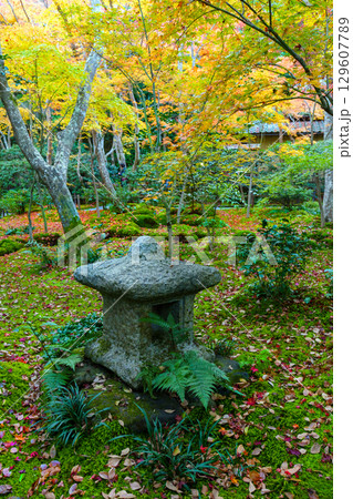 紅葉に包まれた祇王寺 紅葉に包まれた祇王寺 129607789