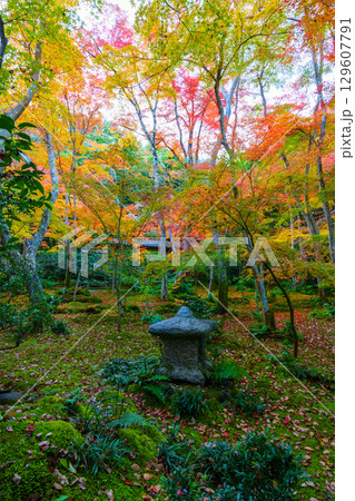 紅葉に包まれた祇王寺 129607791